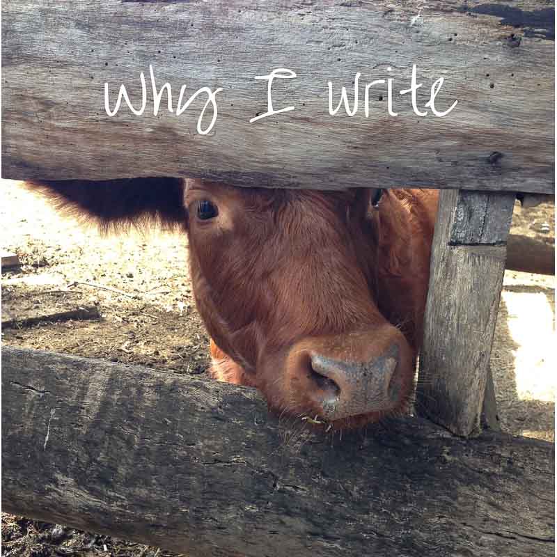 Why I write – something a little different